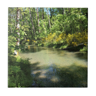 Elijah Bristow State Park, Dexter, Oregon Tegeltje