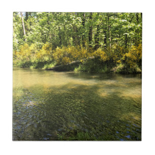 Elijah Bristow State Park, Dexter, Oregon Tegeltje