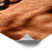 Éliminateur de bogues suricate, Affiche (Coin)