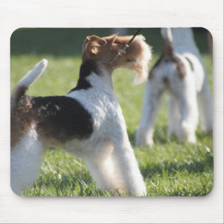 Eliza Mousepad Muismat