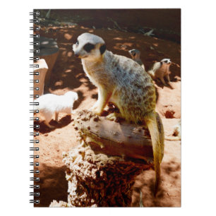 Eliza Queen of the Meerkats, Notitieboek