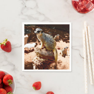Eliza Queen of the Meerkats, Paper Party Napkins Servet
