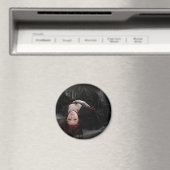 Elizabeth Bathory Magnet (In Situ (Lave-vaisselle))