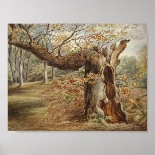 Elizabeth Murray - Rotatieboom Poster (Voorkant)