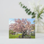 Elizabeth Park, Hartford, CT Carte postale (Debout devant)