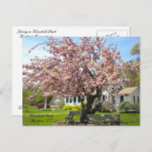 Elizabeth Park, Hartford, CT Carte postale (Devant / Derrière)