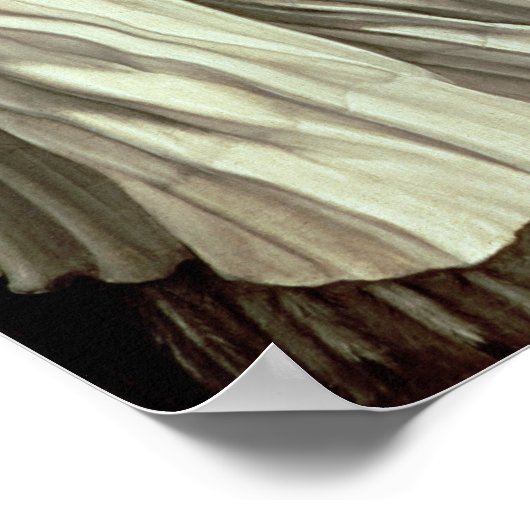 Elizabeth van Hongarije 1509 Poster (Hoek)