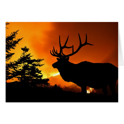 Elk (Voorkant Horizontaal)