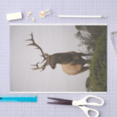 Elk 2 tissuepapier (Craft)