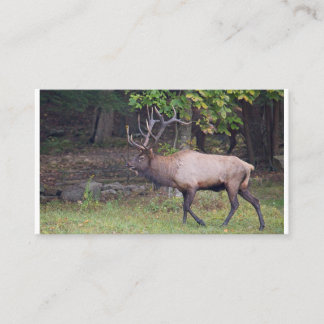 Elk 2 visitekaartje