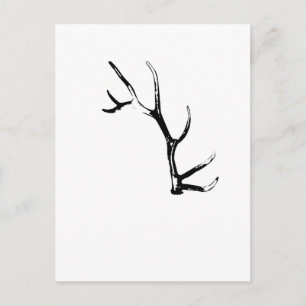Elk Antler Briefkaart