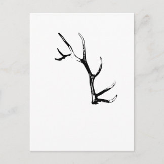 Elk Antler Briefkaart