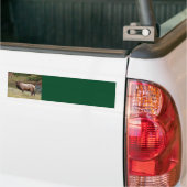 Elk Background Bumpersticker (Op Truck)