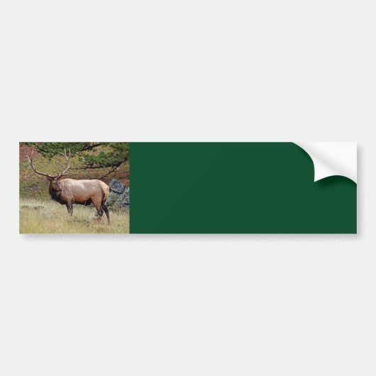 Elk Background Bumpersticker (Voorkant)