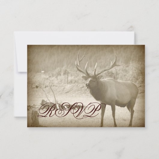 Elk Big Jeu Faune Antlers Mariage Cartes RSVP (Dos)