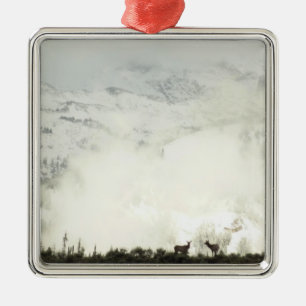 Elk bij Grand Teton National Park Fotografie Metalen Ornament