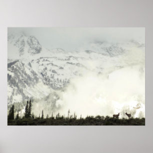 Elk bij Grand Teton National Park Fotografie Poster