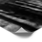 Elk Black White Photo Modern Rustic Cabin Poster (Hoek)