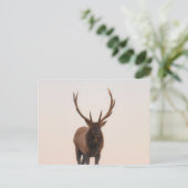 Elk Briefkaart (Staand voorkant)