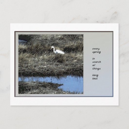 Elk Briefkaart van de Lente Haiku (Voorkant)