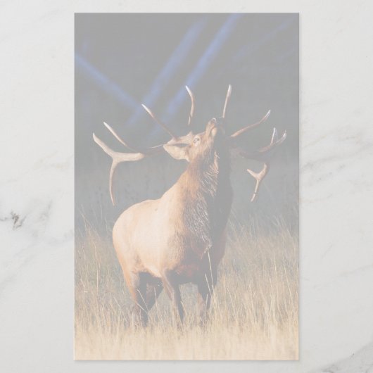 elk briefpapier (Voorkant)