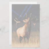 elk briefpapier (Voorkant / Achterkant)