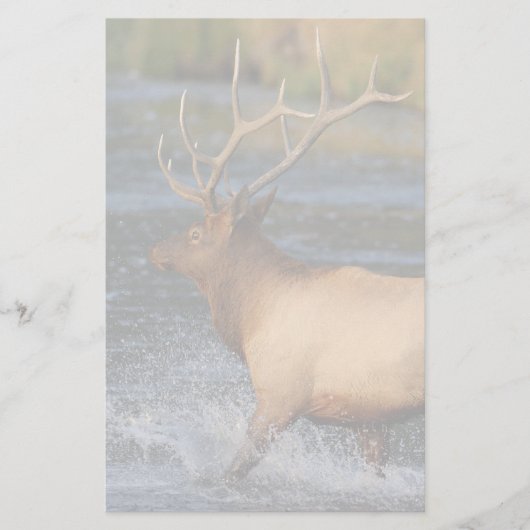 elk briefpapier (Voorkant)