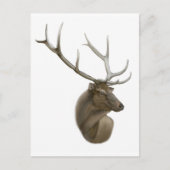 Elk Buck Briefkaart (Voorkant)