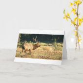 Elk Buck Kaart (Gele Bloem)