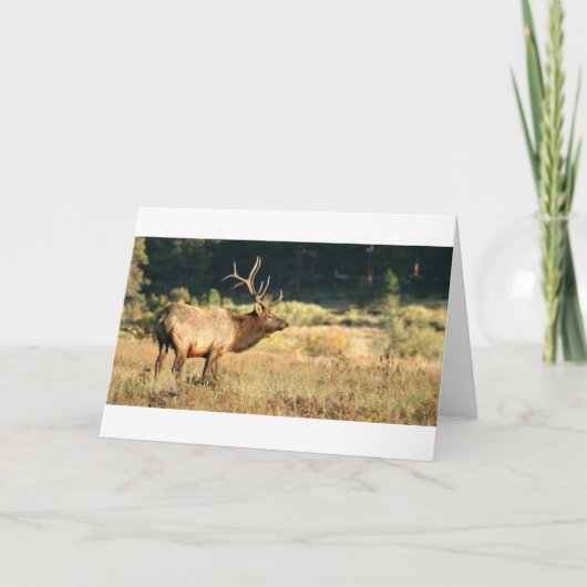 Elk Buck Kaart (Voorkant)