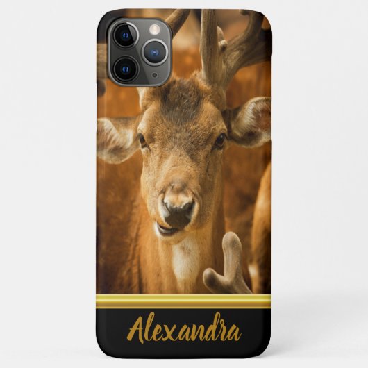 Elk buck kijkt recht naar je Case-Mate iPhone case (Achterkant)