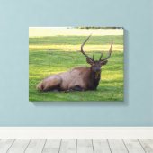 Elk Canvas (Insitu (Houten vloer))