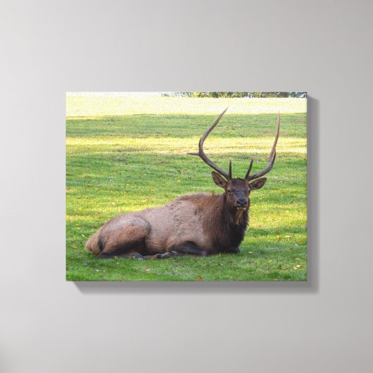 Elk Canvas (Voorkant)
