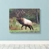 Elk Canvas (Insitu (Houten vloer))