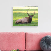 Elk Canvas Afdruk (Insitu (Woonkamer))