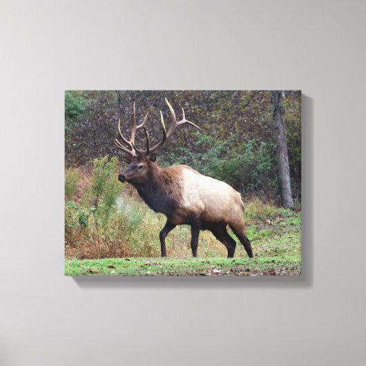 Elk Canvas Afdruk (Voorkant)