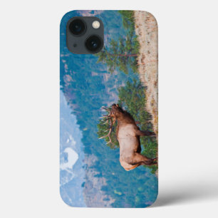 Elk (Cervus Elephus) Bull Bugling iPhone 13 Hoesje