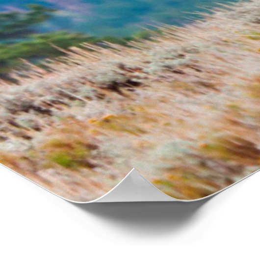 Elk (Cervus Elephus) Bull Bugling Poster (Hoek)