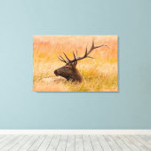 Elk (Cervus Elephus) Resting In Meadow Grass Canvas Afdruk (Insitu (Houten vloer))