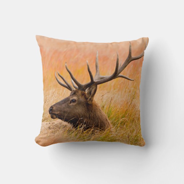 Elk (Cervus Elephus) Resting In Meadow Grass Kussen (Voorkant)
