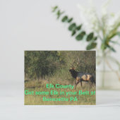 Elk County Benezette PA Briefkaart (Staand voorkant)