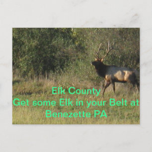 Elk County Benezette PA Briefkaart