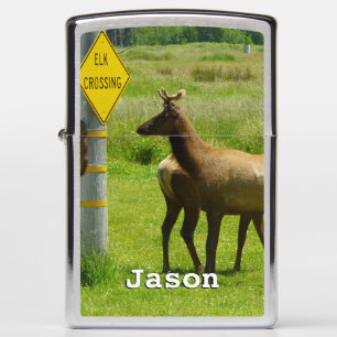 Elk Crossing California Wildlife Fotografie