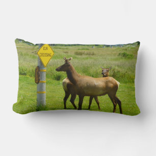 Elk Crossing California Wildlife Fotografie Kussen