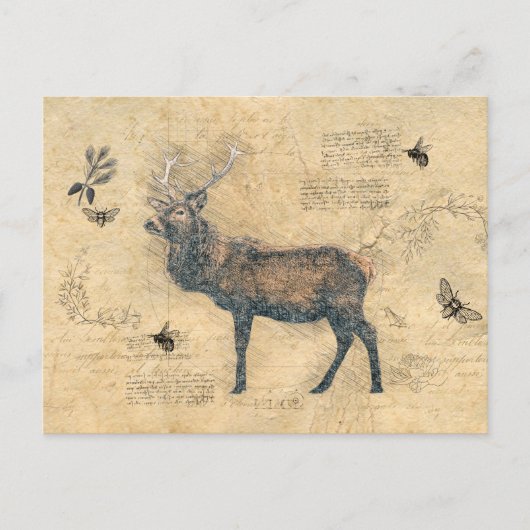 Elk Decoupage  Ephemera Briefkaart (Voorkant)