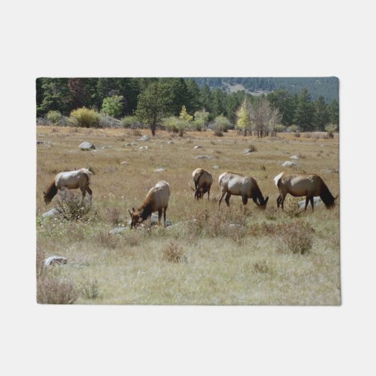 Elk deurmat (Voorkant)