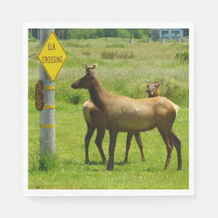 Elk die de weg oversteken Californië Natuurfotogra Servet
