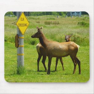 Elk die de weg oversteken Californië Wildlife Foto Muismat