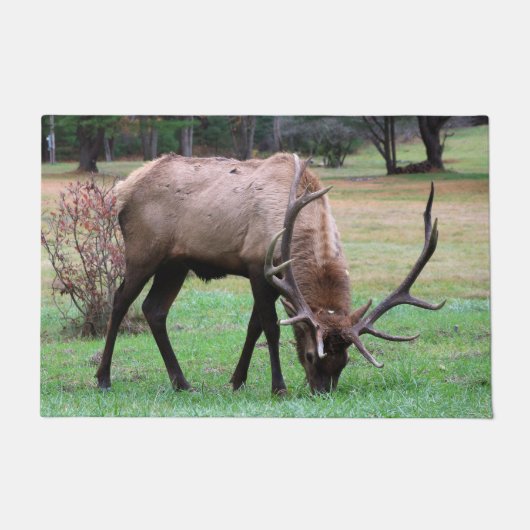 Elk Doormat Deurmat (Voorkant)