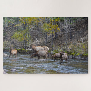 Elk Herd in de Big Thompson rivier Legpuzzel